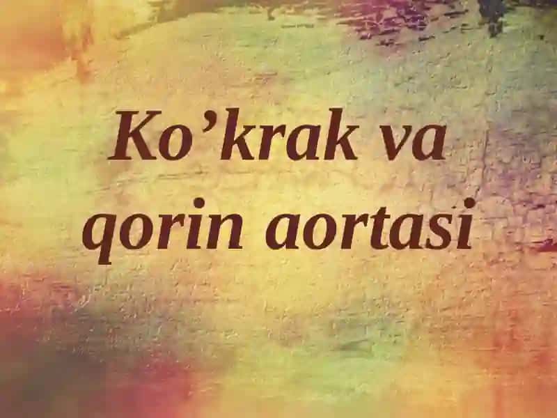 16-mavzu:Ko`krak va qorin aortasi. Asosiy tarmoqlari, ichki a`zolarning qon bilan taminlanishi. 2