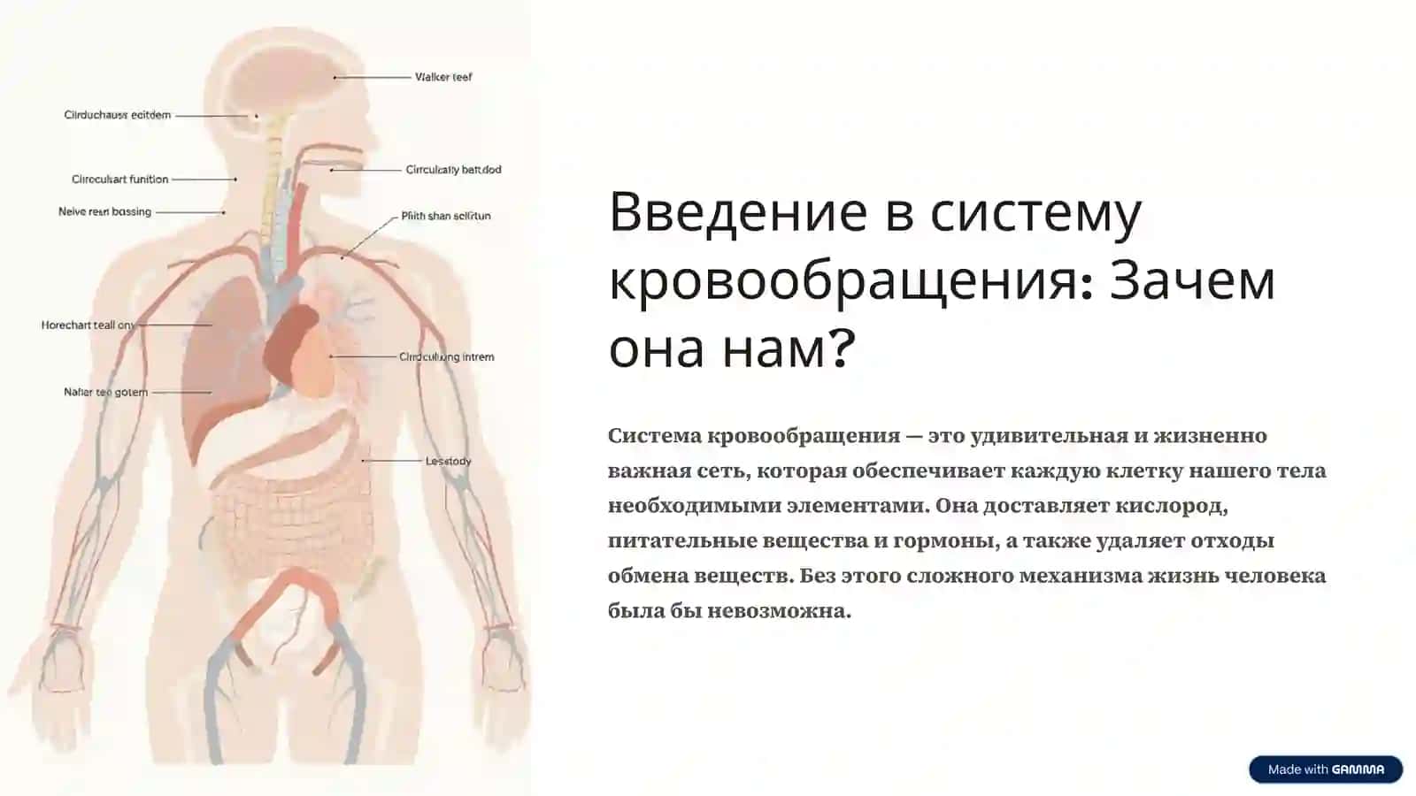 Система кровообращения: Сложный механизм жизни 2