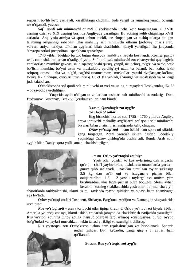 Axaltaka zoti Turkmaniston va Qozog’istonning quruq sahro zonalarida urchitiladi 2