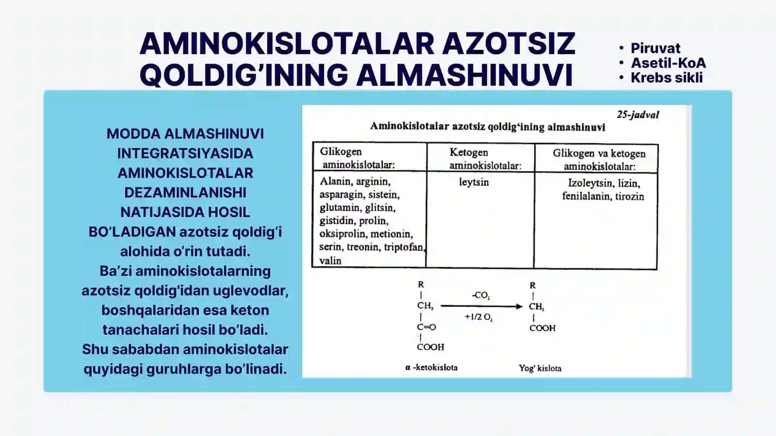Uglevodlar, yog'lar va aminokislotalar almashinuvining o'zaro bog'liqligi 2