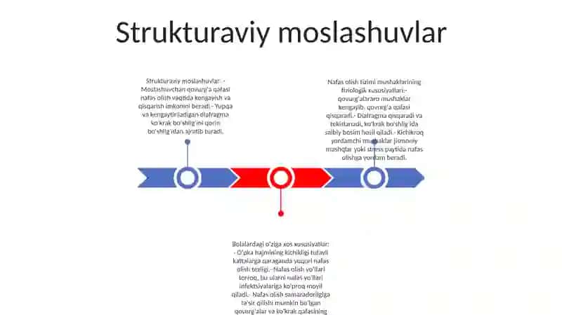 Bolalarda Nafas Olish Tizimi AʼZolarining Fiziologik Xususiyatlari 2