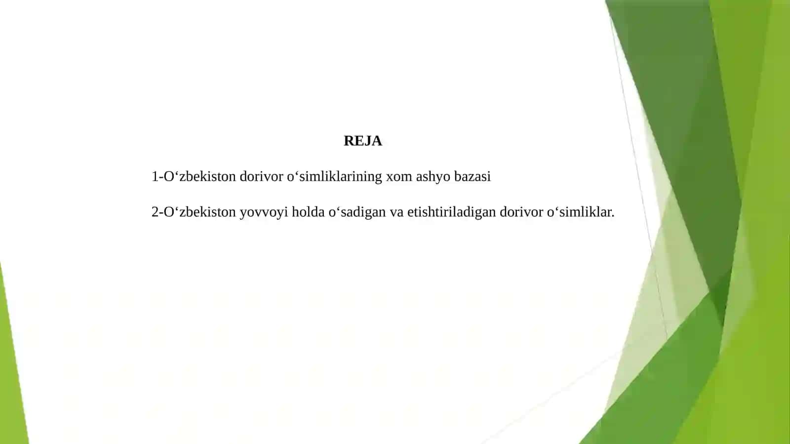 O‘zbekiston dorivor o‘simliklarining xom ashyo zaxiralari 2