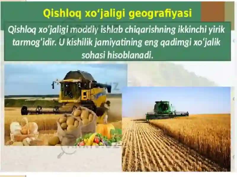 Qishloq xo’jaligi va sanoatni geografik jihatdan o’rganish 2