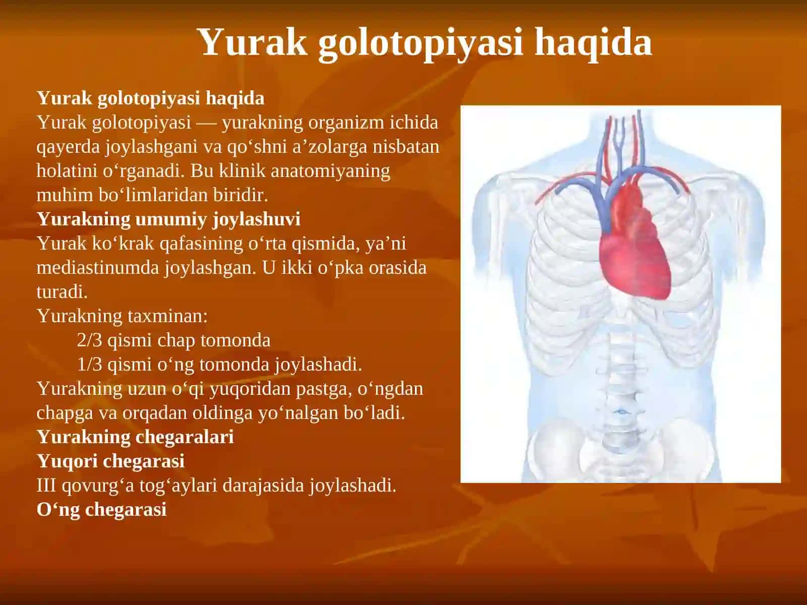 Yurak golatopiyasi, skletotopiyasi sintopiyasi 2