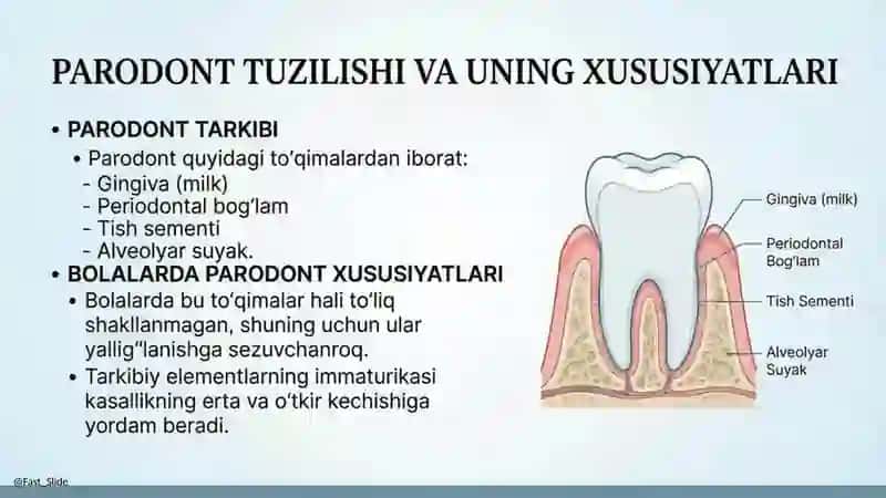 Bolalarda parodont tuzilishining anatomik va fiziologikxususiyatlari. Bolalarda parodont kasalliklar 2