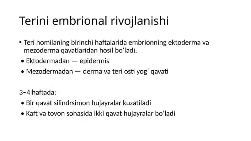 Bolalarda teri anatomiyasi va gistologiyasi 2