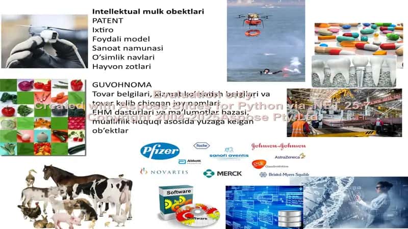 INTELEKTUAL MULK VA UNINING HIMOYA QILISH USULLARI 2