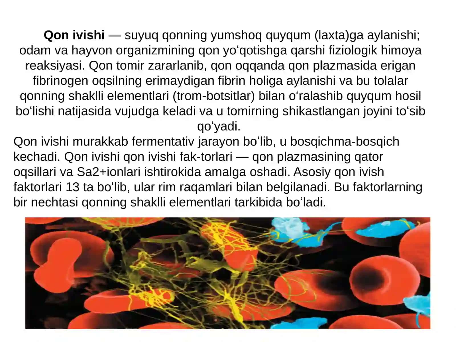 Normal qon ivish tizimi 2