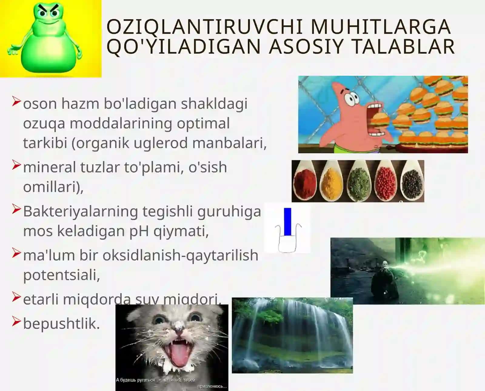 Mikroorganizmlarning NAFAS OLISHI 2