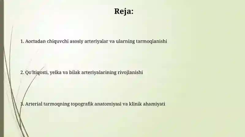 Oʼmrov osti, qoʼltiq va yelka -bilak sohalaridagi arteriyalar rivojlanishi 2