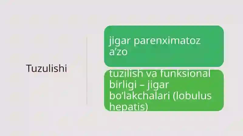 Hazm qilish gistologiyasi:Hazmlanish jarayonining endokrin boshqariluvi. Me’da-ichak nayining endokrin hujayralari 2