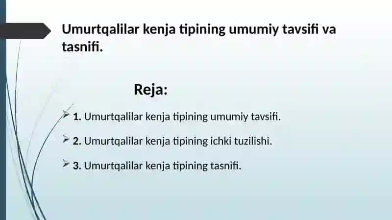 Umurtqalilar kenja tipining umumiy tavsifi va tasnifi 2