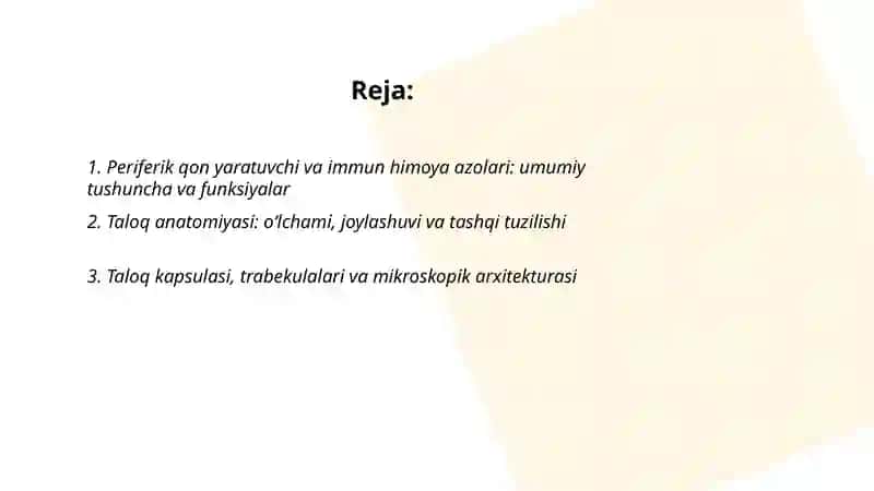 Periferik qon yaratuvchi va immun himoya azolari. Taloq va limfa tuguni tuzilishi 2