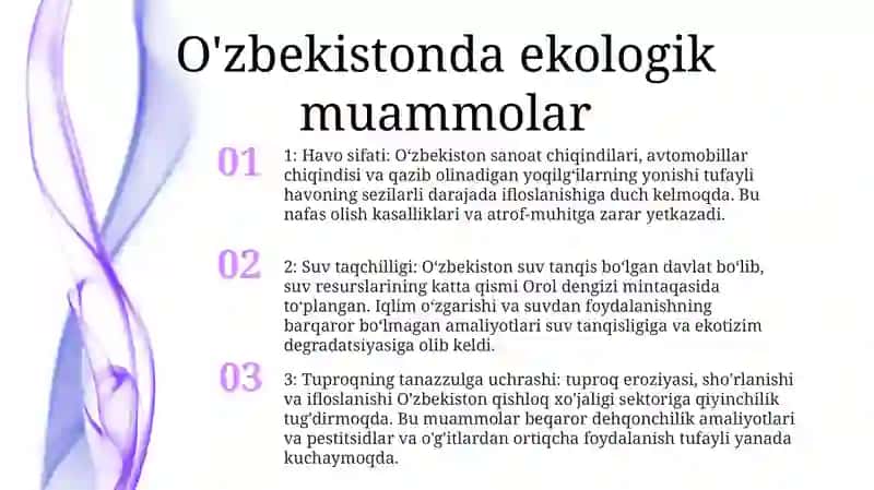 O'Zbekistonda Ekologik Muammolarni Hal Etishning Konseptual Asoslari 2