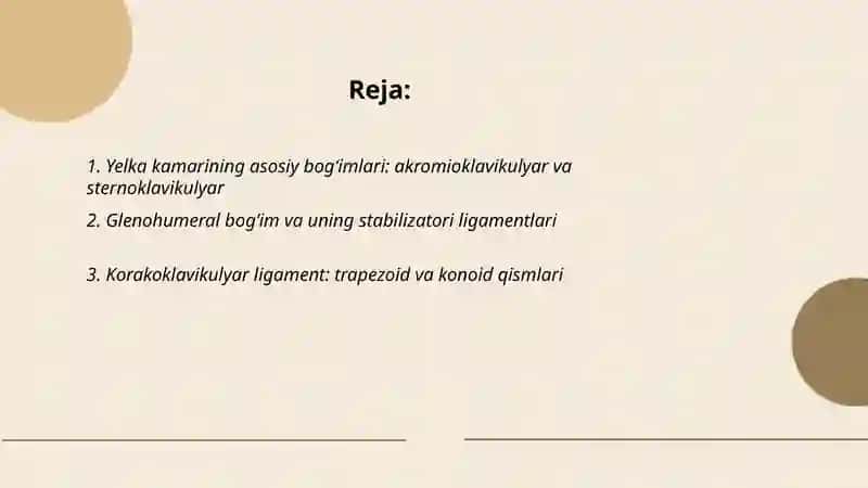 Yelka kamar bogim va boylamlari 2