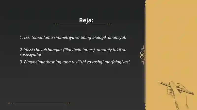 Billaterial simmetryalilar. Yassi chuvalchanglar (Platyhelminthers) tipi 2
