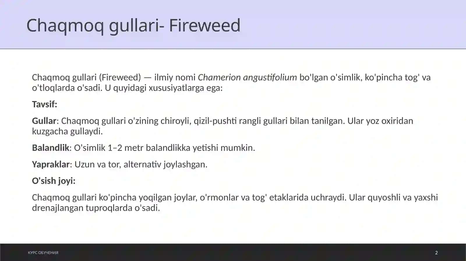 Chaqmoqgul (Fireweed) dorivorligi va yetishtirish texnologiyasi 2
