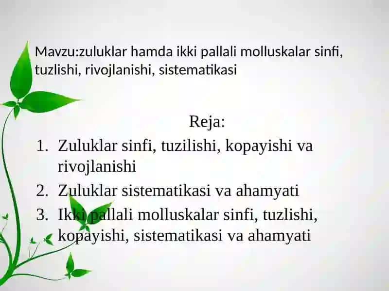 Zuluklar va Ikkipallalimolluskalar sinfi 2
