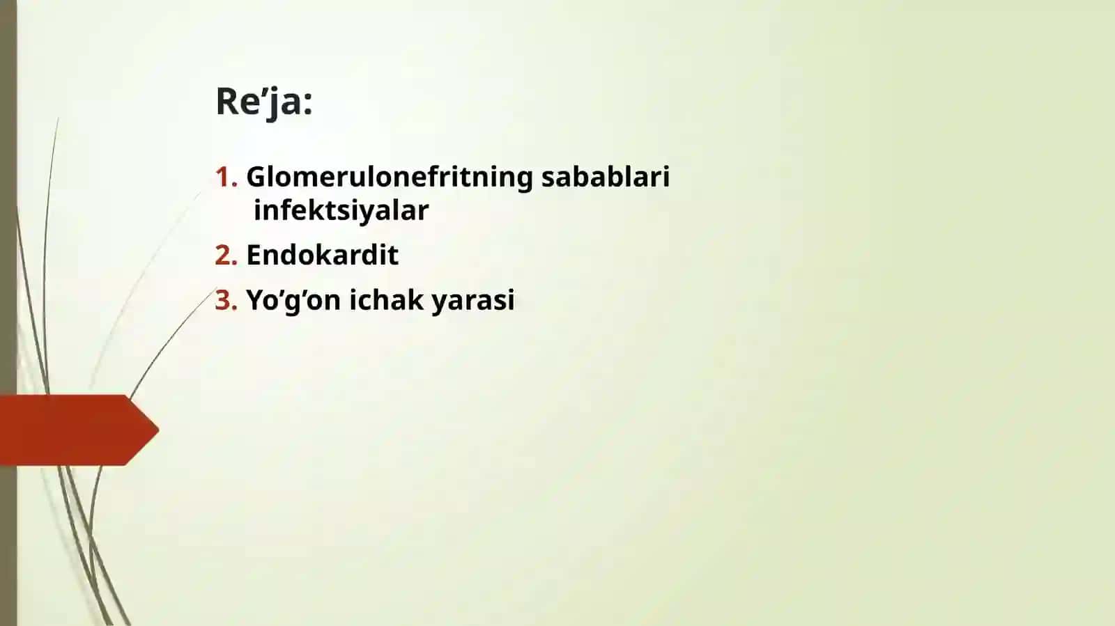 Glomerulonefrit, Endokardit, Yaralikolit va boshqa kasalliklar kechishi da mikroorganizmlarni ahamiyati 2