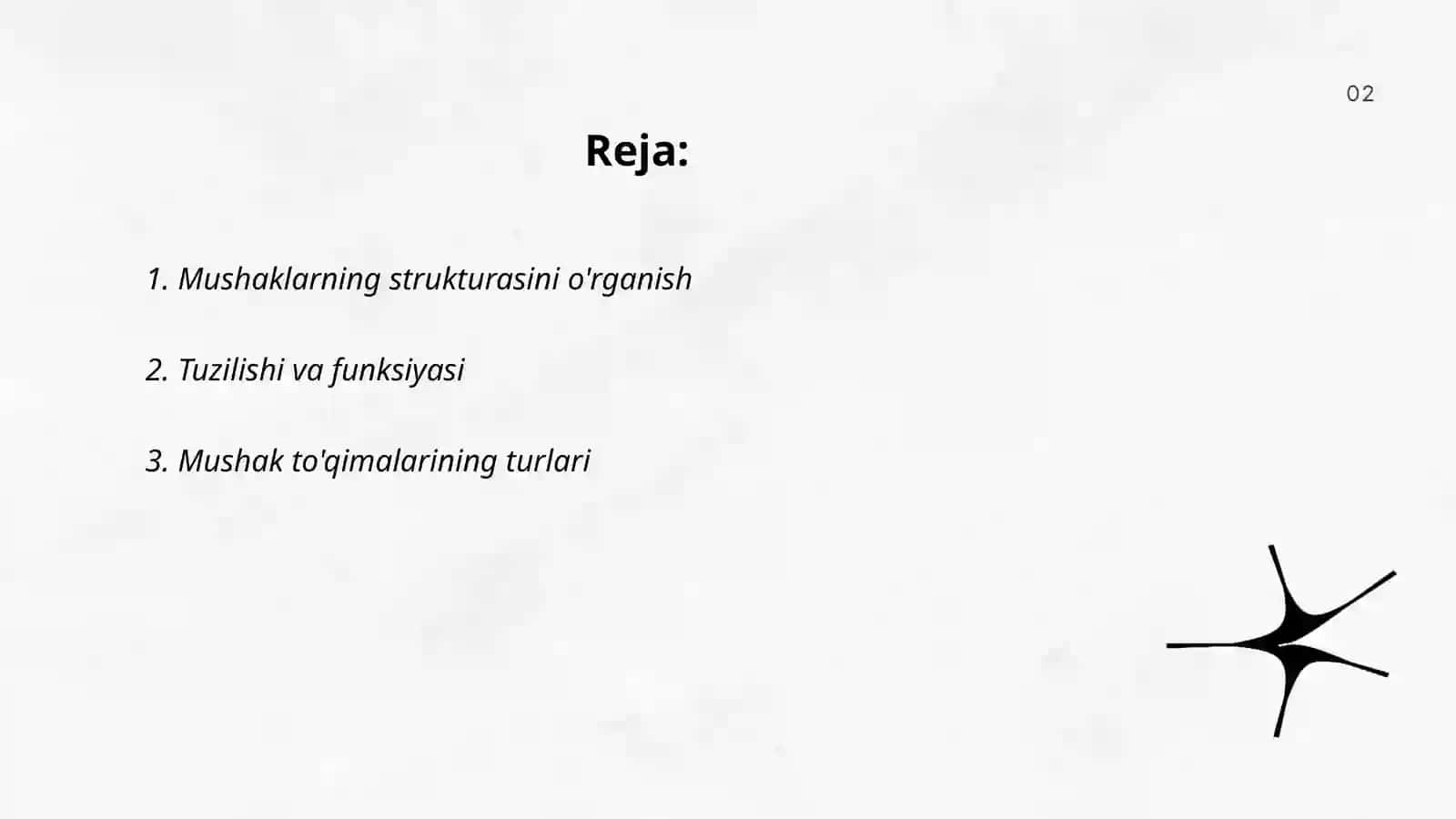 Muskul fiziologiyasi 2