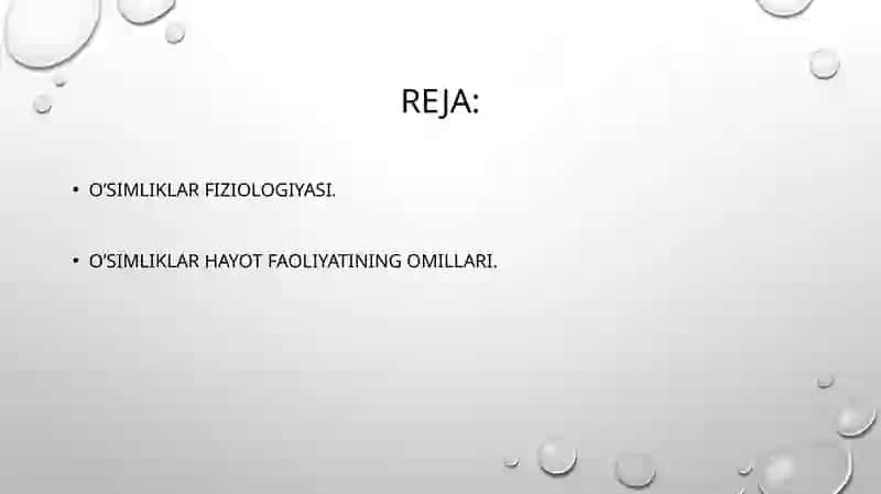 O‘simliklar hayoti 2