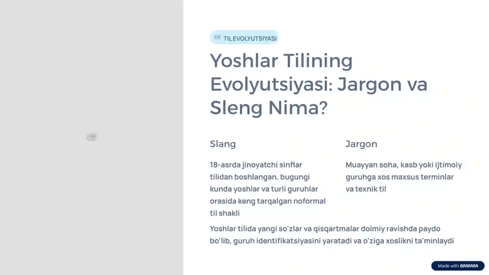 Yoshlar Tilida Jargon va Sleng: Ijtimoiy Tarmoqlarning Ta'siri 2