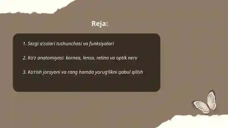 Inson sezgi a’zolari haqida umumiy tushuncha 2