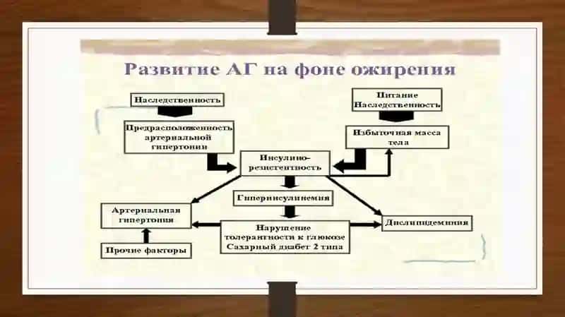 Semizlik va AG. Abdominal semirish. (Metabolik sindrom). Identifikatsiya muammolari. Kattalarda yoshga nisbatan diagnostik omillar. Visseral adipotsitoz va bo‘sh yog‘ kislotalari. Tasnifi. Menejment va farmakoterapiya. 2