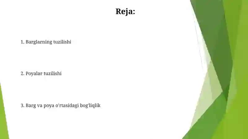 Novda va kurtaklarning tuzilishi 2