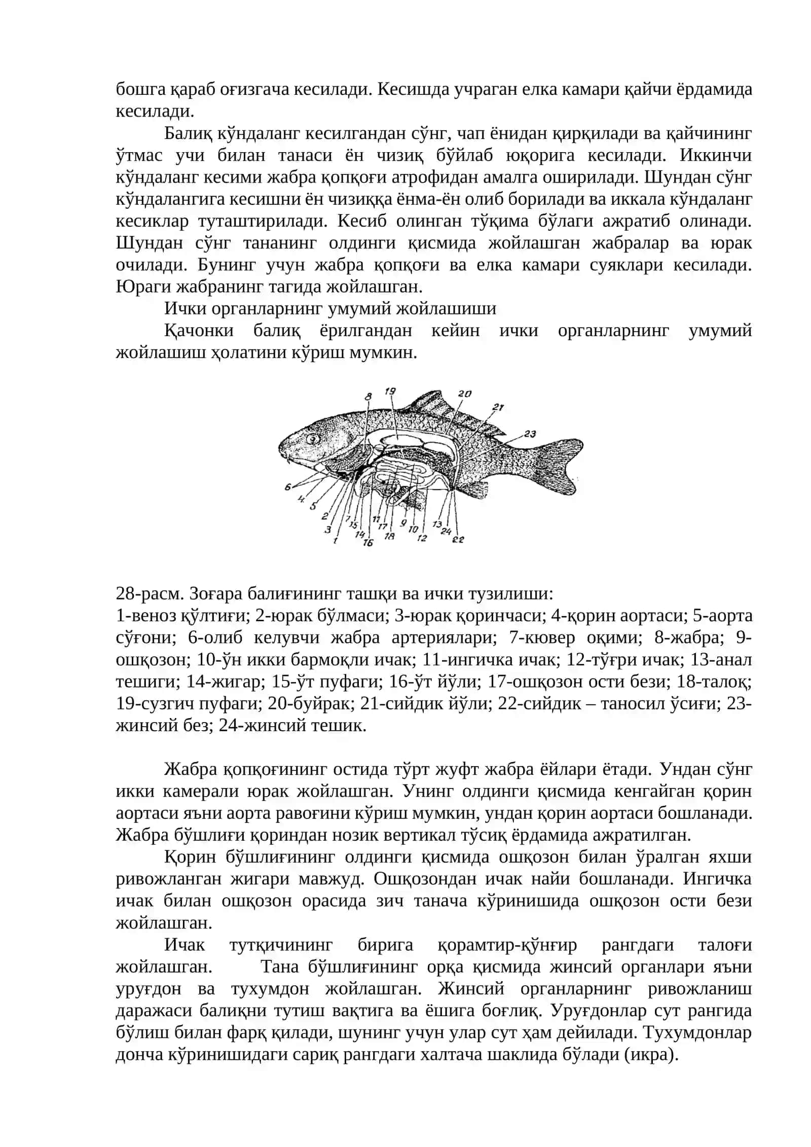 Тирик балиқ 2