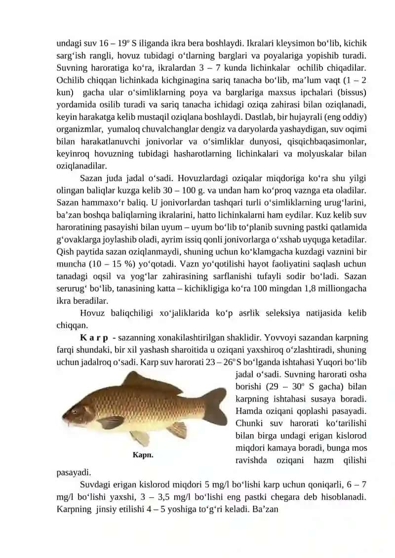 O‘ZBEKISTONDA YETISHTIRILAYOTGAN ASOSIY BALIQ ZOTLARI 2