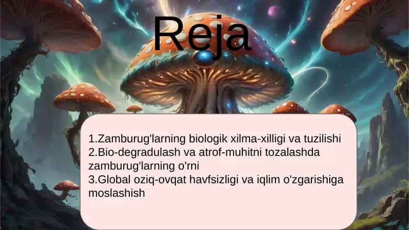 Zamburug'larning Sanoat va Qishloq xo'jaligida qo'llanishi 2