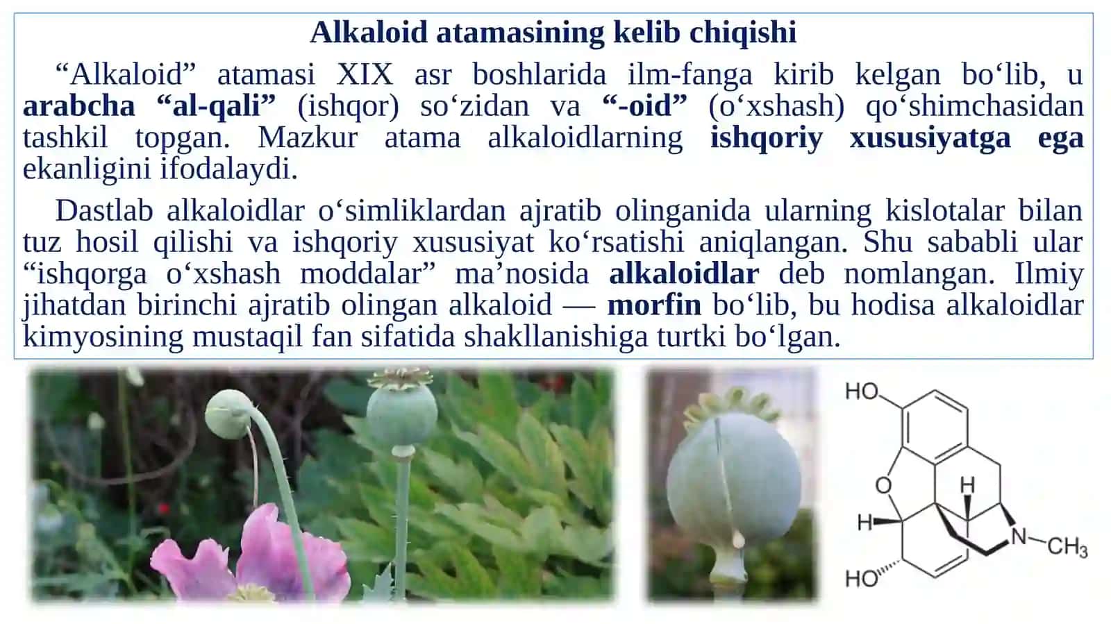 Alkaloidlar. Alkaloidlarning umumi tuzilishi. Alkaloidlarni kimyoviy xossalari 2