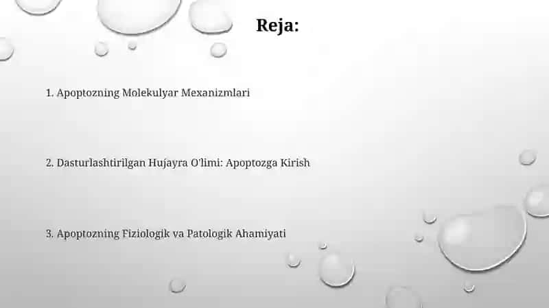 Dasturlashtirilgan Hujayra O'limi: Apoptozga Kirish 2