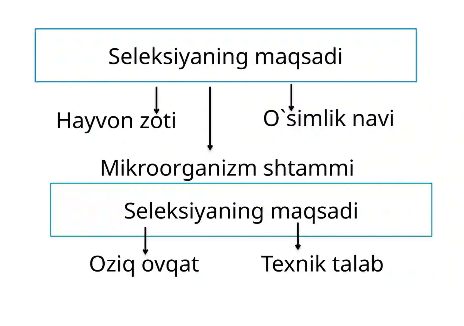 O`simlik va hayvonlar seleksiyasi 2