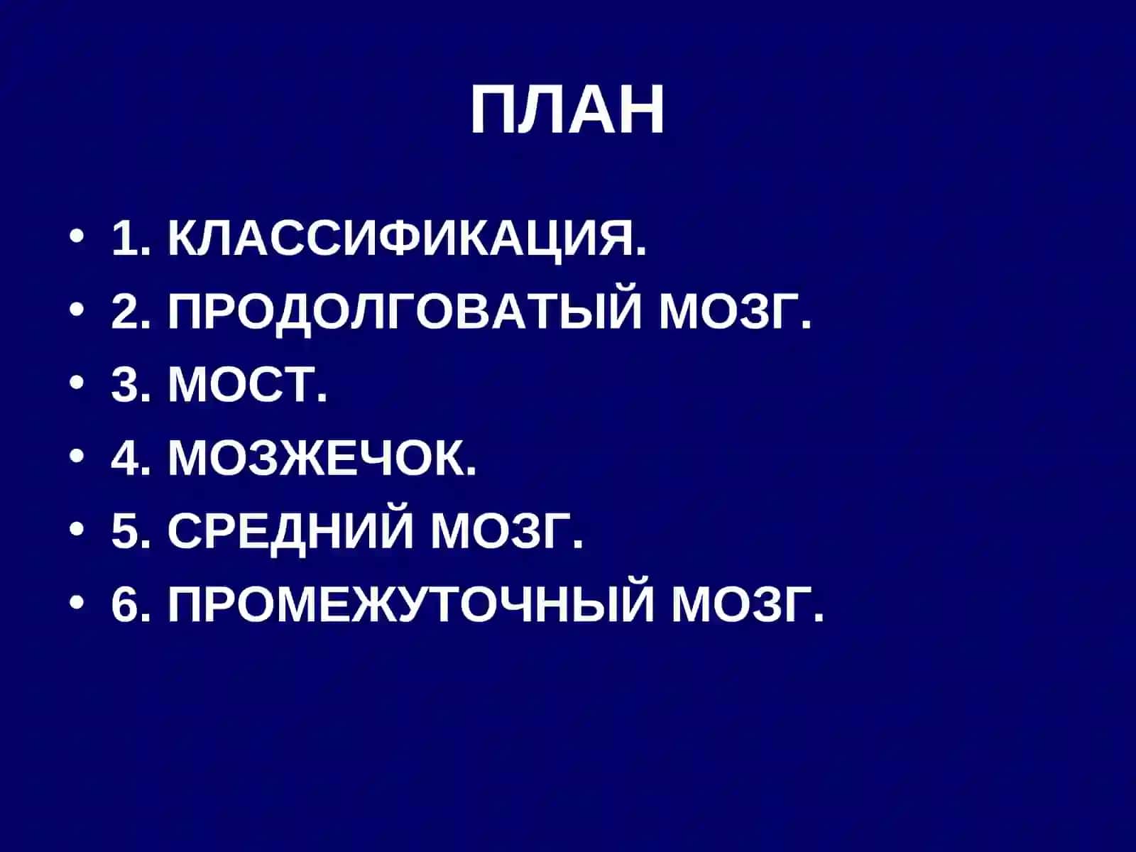 ГОЛОВНОЙ МОЗГ.СТВОЛ МОЗГА 2