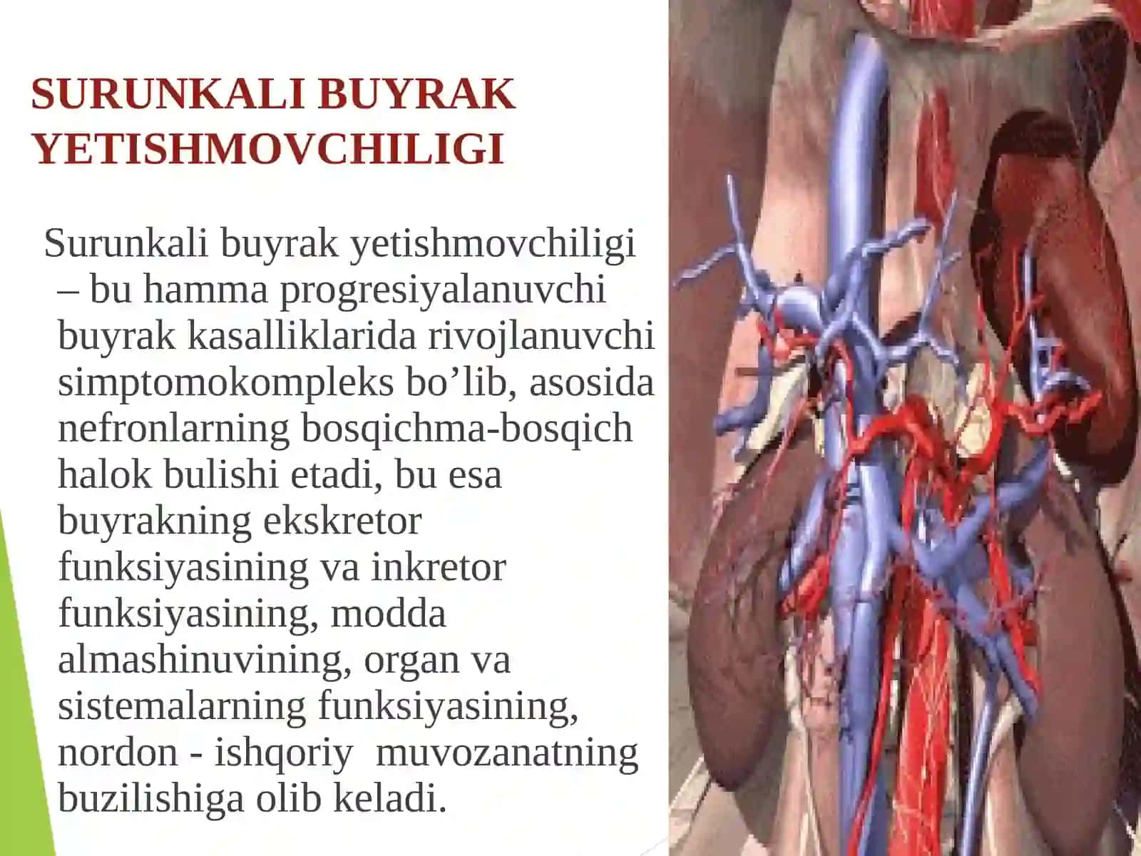SURUNKALI BUYRAK YETISHMOVCHILIGI 2