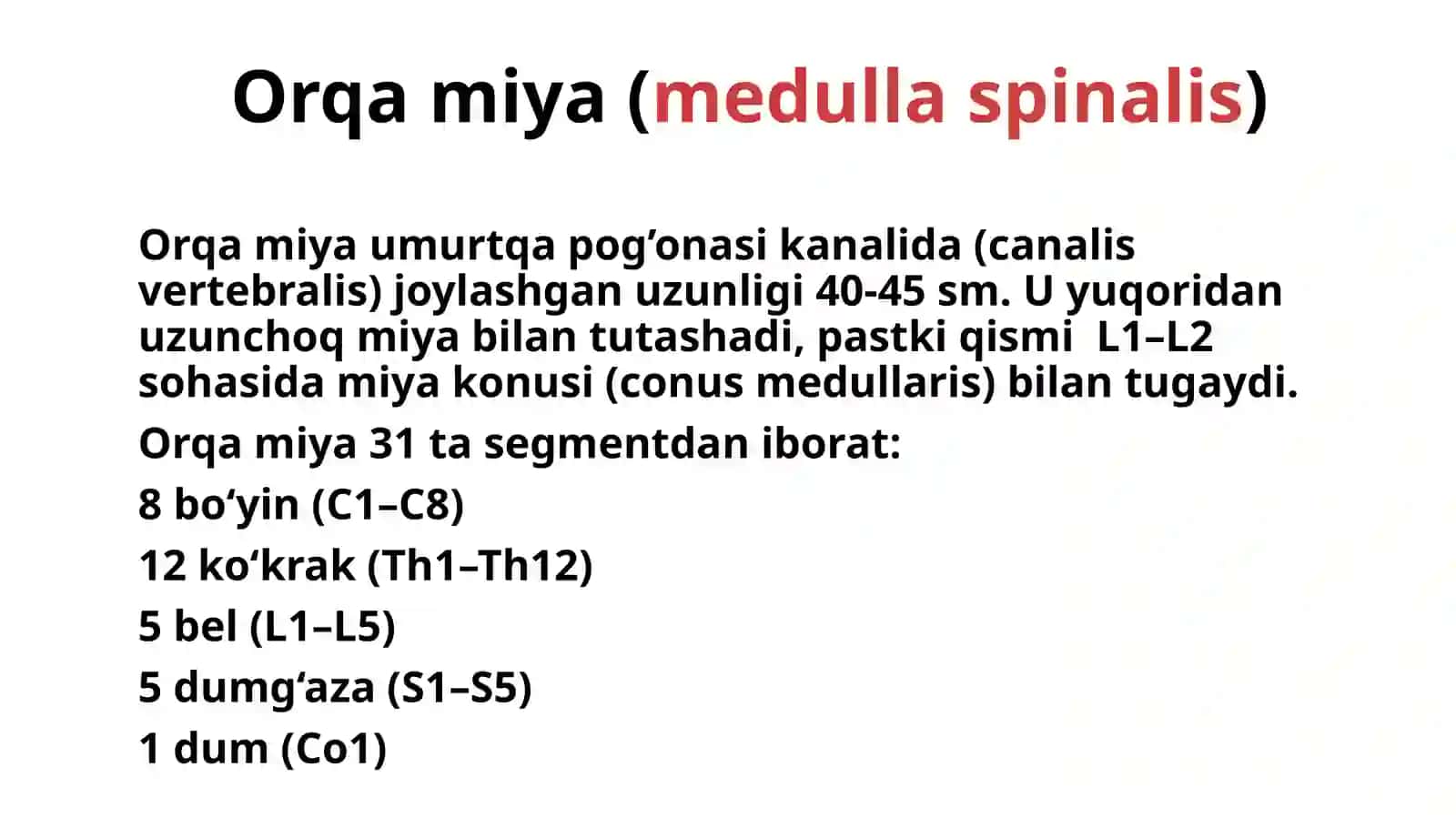 Orqa miya va orqa miya pardalari, uning yoshga doir  xususiyatlari. Bosh miyaning umumiy koʻrinishi. Bosh   miyaning asosi. 12 juft bosh miya nervlarining chiqish joylari.  MRT va KT dagi orqa miya tasviri. 2