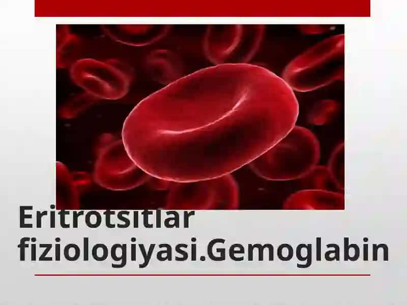 Eritrotsitlar fiziologiyasi 2