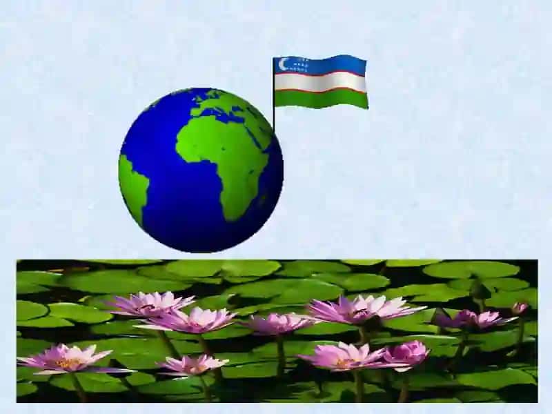 Инновацион техологиялар (ГАТ технологиялар)дан фойдаланиб аҳоли карталарини яратиш технологиясини ишлаб чиқиш 2