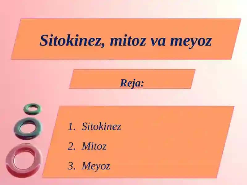 Sitokinez, mitoz va meyoz 2