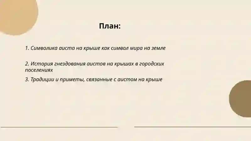 Аист на крыше-Мир на земле 2