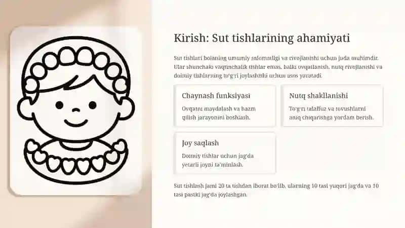 Sut (vaqtinchalik) tishlashning anatomiyasi va fiziologiyasi 2