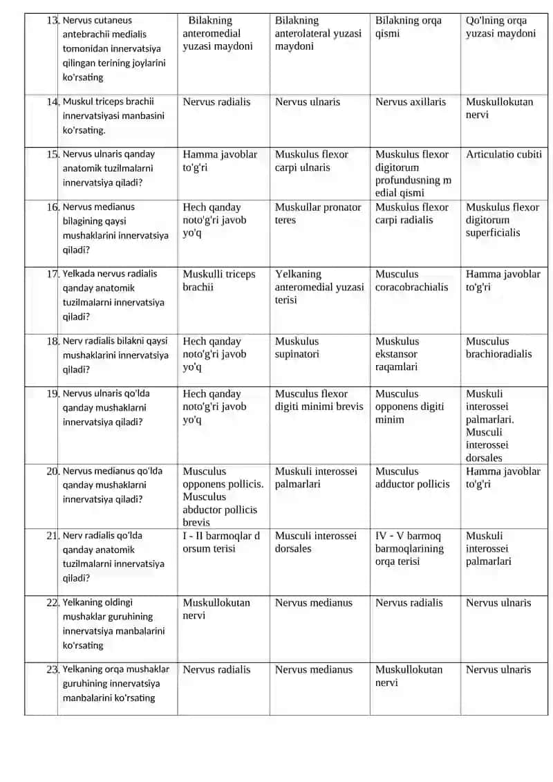 Braxiyal pleksusning qisqa shoxlari 2