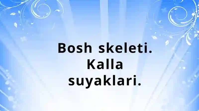 Qo'lninger kin va kamarsuyaklari; Oyoqninger kin va kamarsuyaklari; Boshskeleti. Kallasuyaklari; Boshskeleti. Kallaning yuzsuyaklari 2