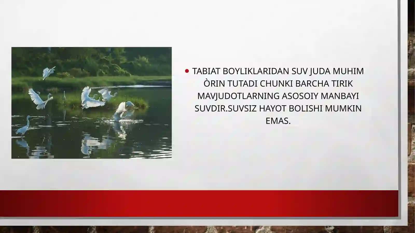 Suvdan foydalanuvchilarning huquq va majburiyatlari 2