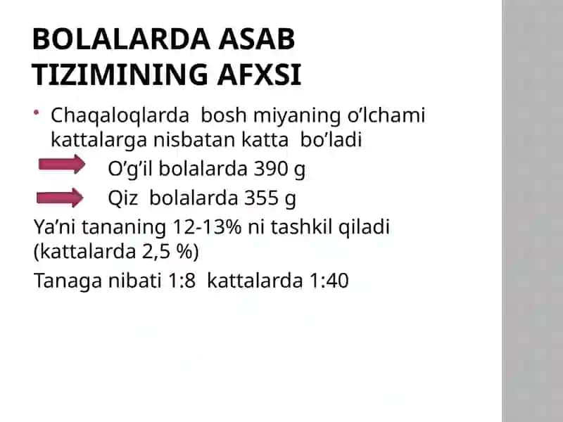 ASAB TIZIMINING ANATOMO-FIZIOLOGIK XUSUSIYATLARI 2