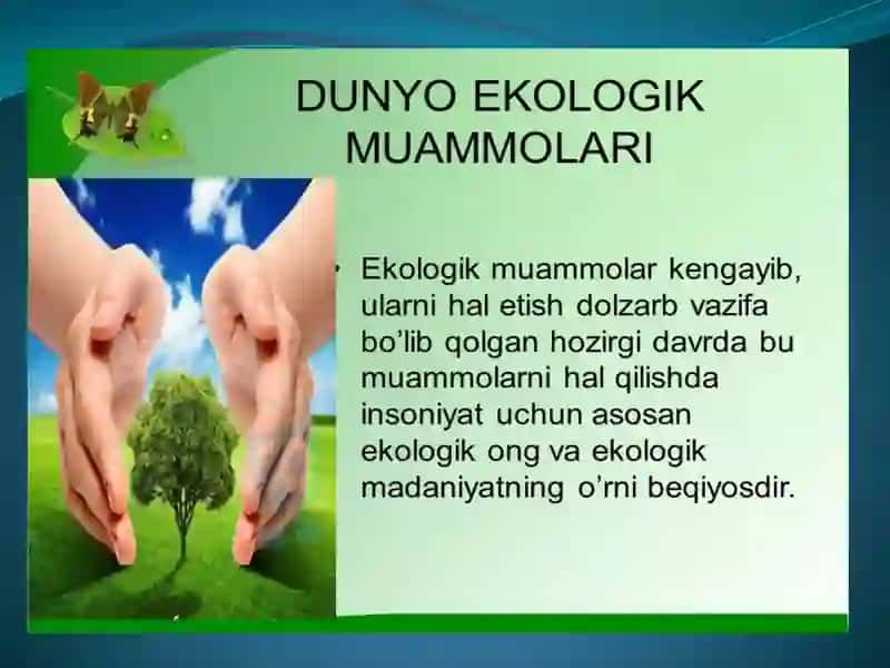 GLOBAL EKOLOGIK MUAMMOLAR 2