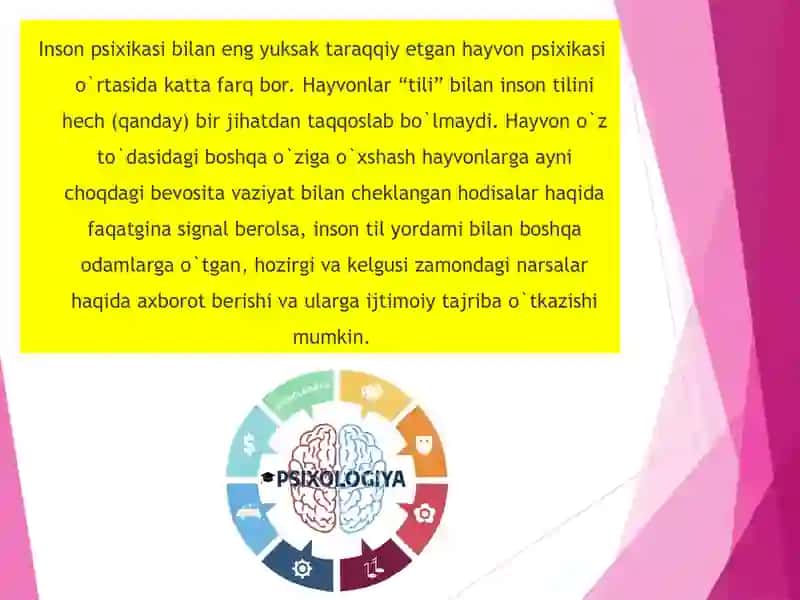 Inson psixikasining ontogenezda rivojlanishi 2