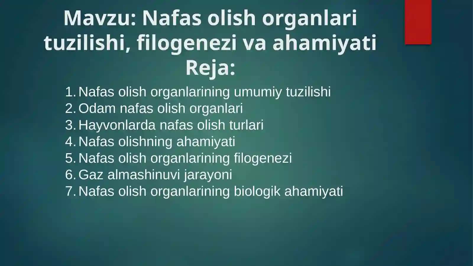 Nafas olish organlari tuzilishi, filogenezi va ahamiyati 2
